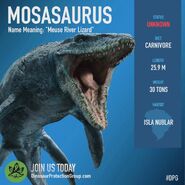 DPGMosasaurus.jpg (40 КБ) DPGMosasaurus